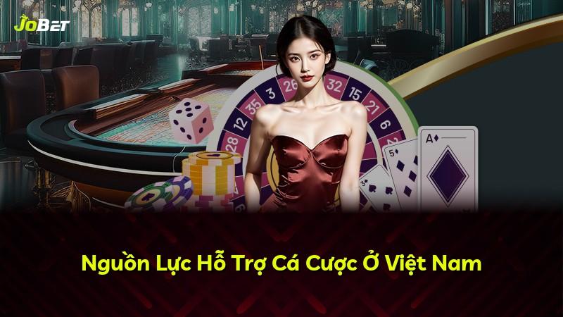 Nguồn Lực Hỗ Trợ Cá Cược Ở Việt Nam