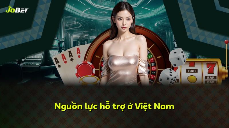 Nguồn lực hỗ trợ ở Việt Nam